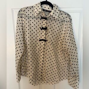Zara Polka Dot Blouse